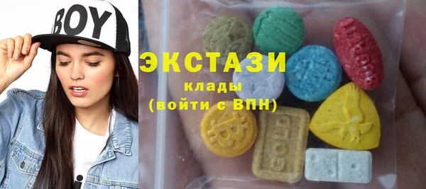 крисы Надым