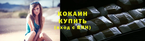 крисы Надым