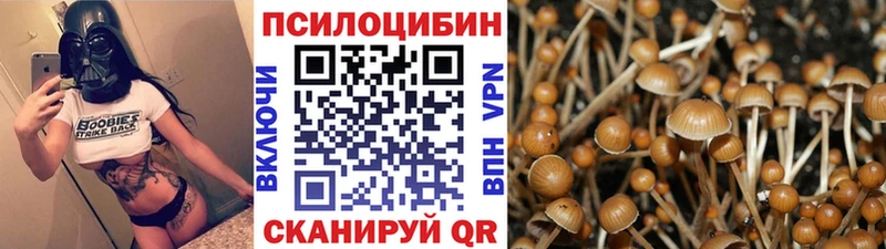 цена наркотик Оханск Галлюциногенные грибы Magic Shrooms